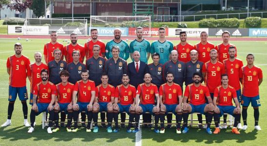 Seleccion espanola